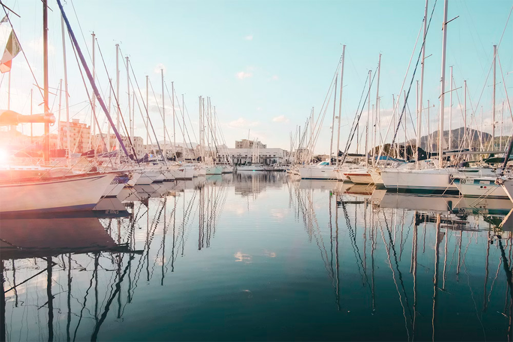 boats